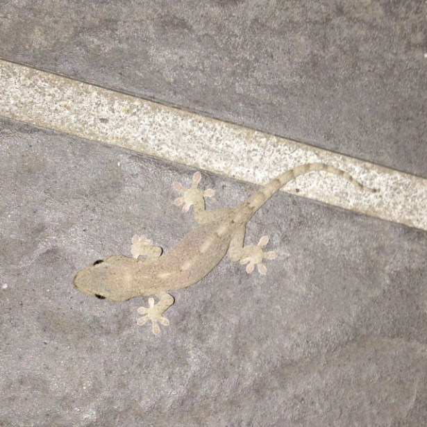 金属加工業をテーマに世界一周“よもやま話”東南アジア編21話