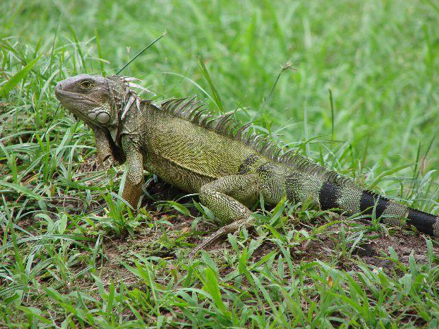 金属加工業をテーマに世界一周“よもやま話” 第25話